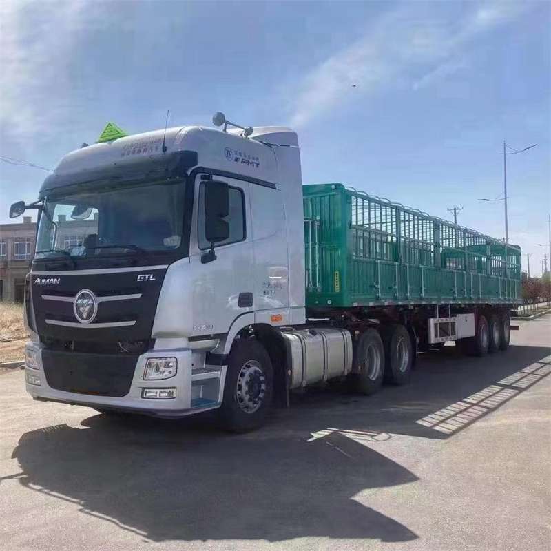 昌洒镇余杭区物流：多元服务与运输线路探秘