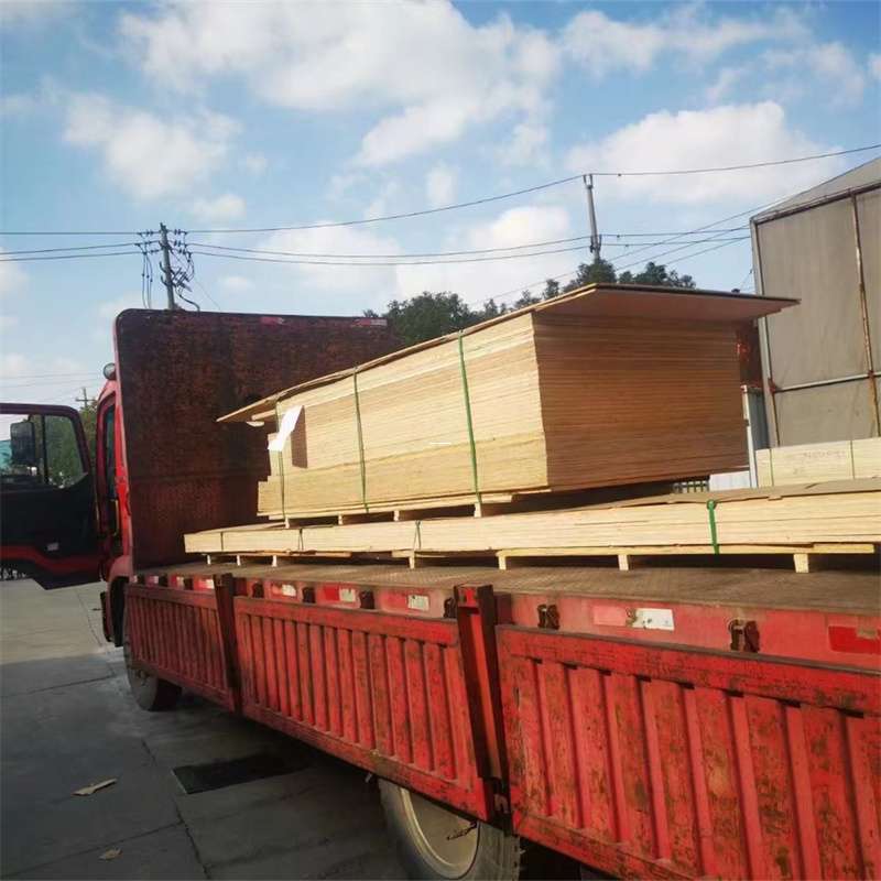 昌洒镇通化市物流运输：多元服务与高效线路探秘