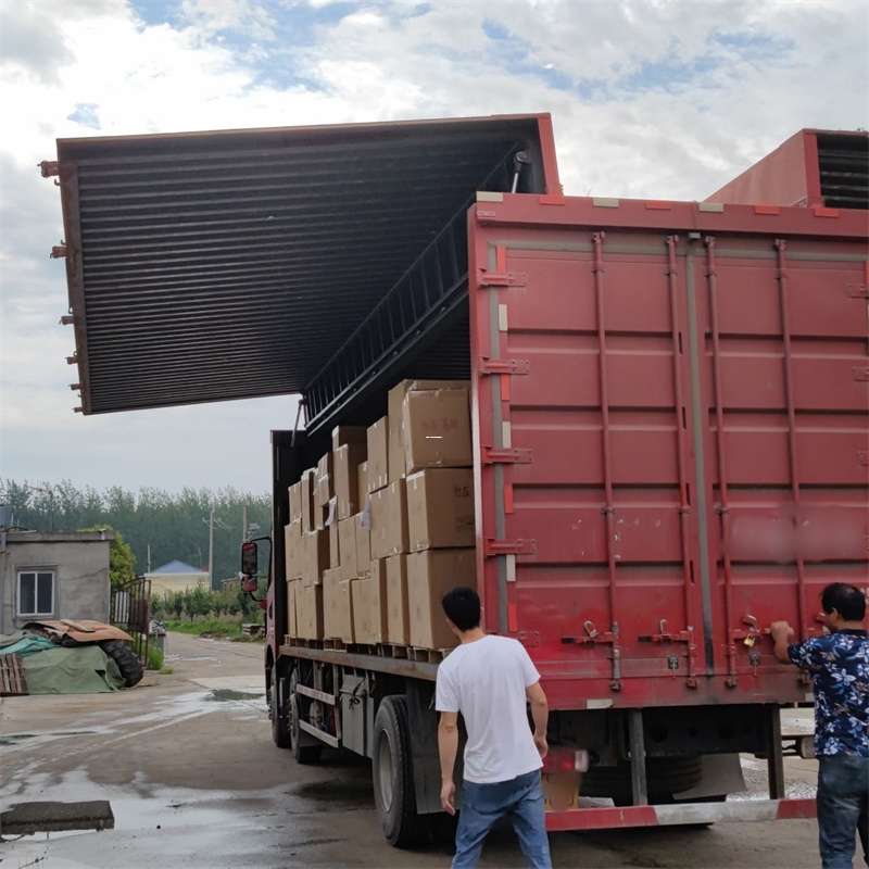 昌洒镇扎囊县：物流专线的高效货运之旅