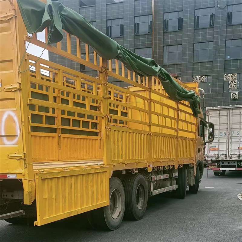 昌洒镇兰州市物流运输：多元服务与高效线路探秘